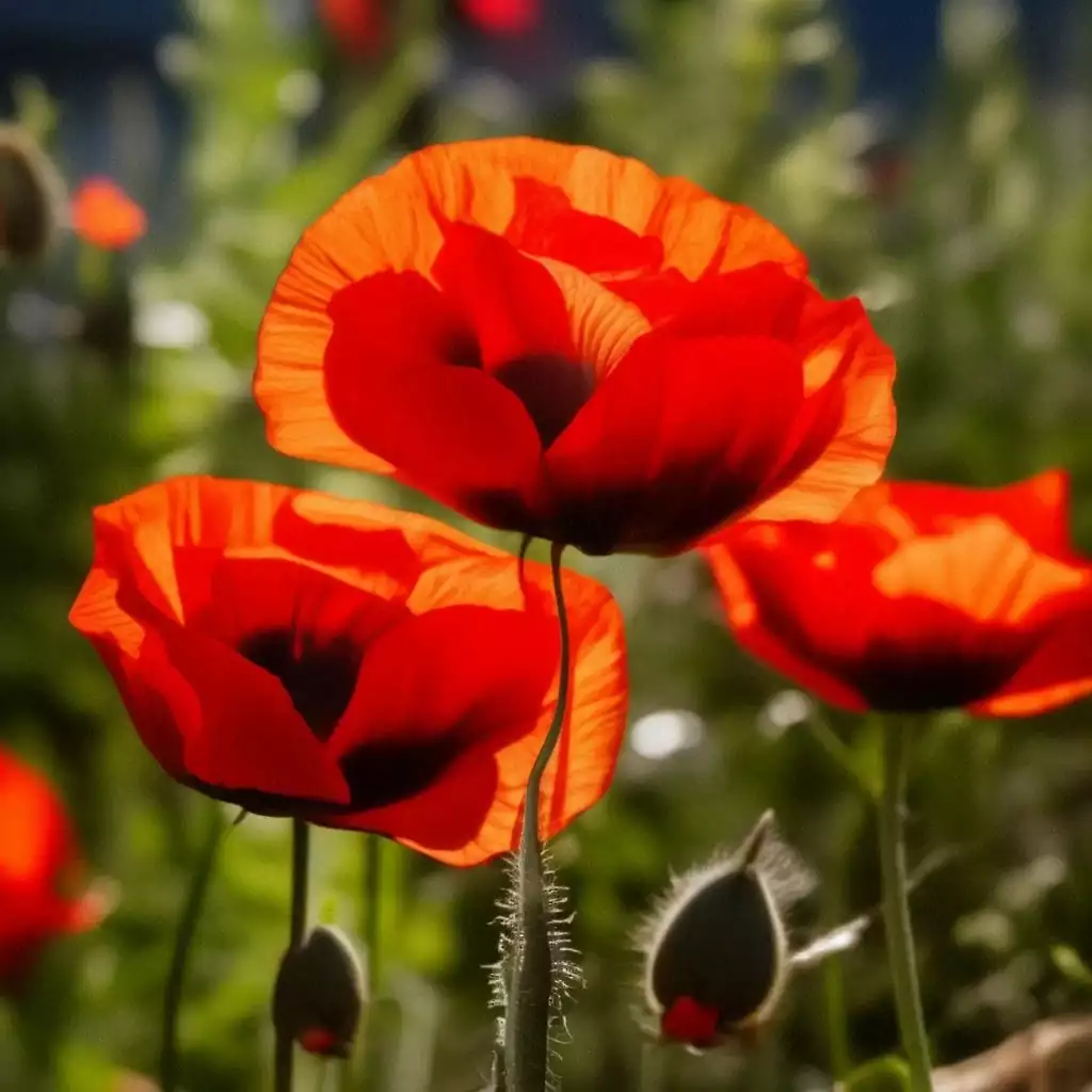 весенние цветы