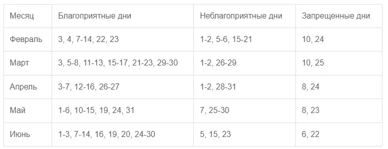 ПОСАДКА ЛУКА ПОРЕЯ