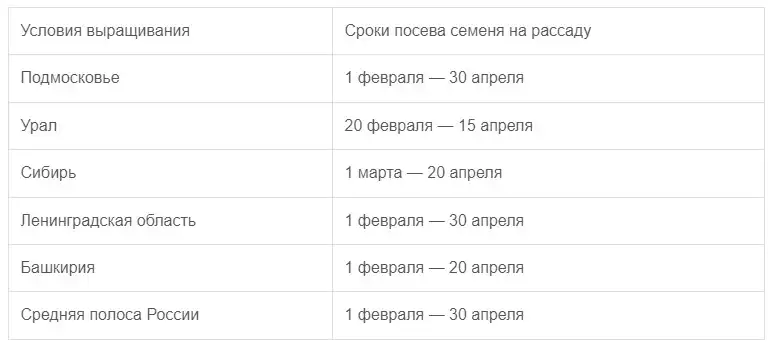 ПОСАДКА ЛУКА ПОРЕЯ