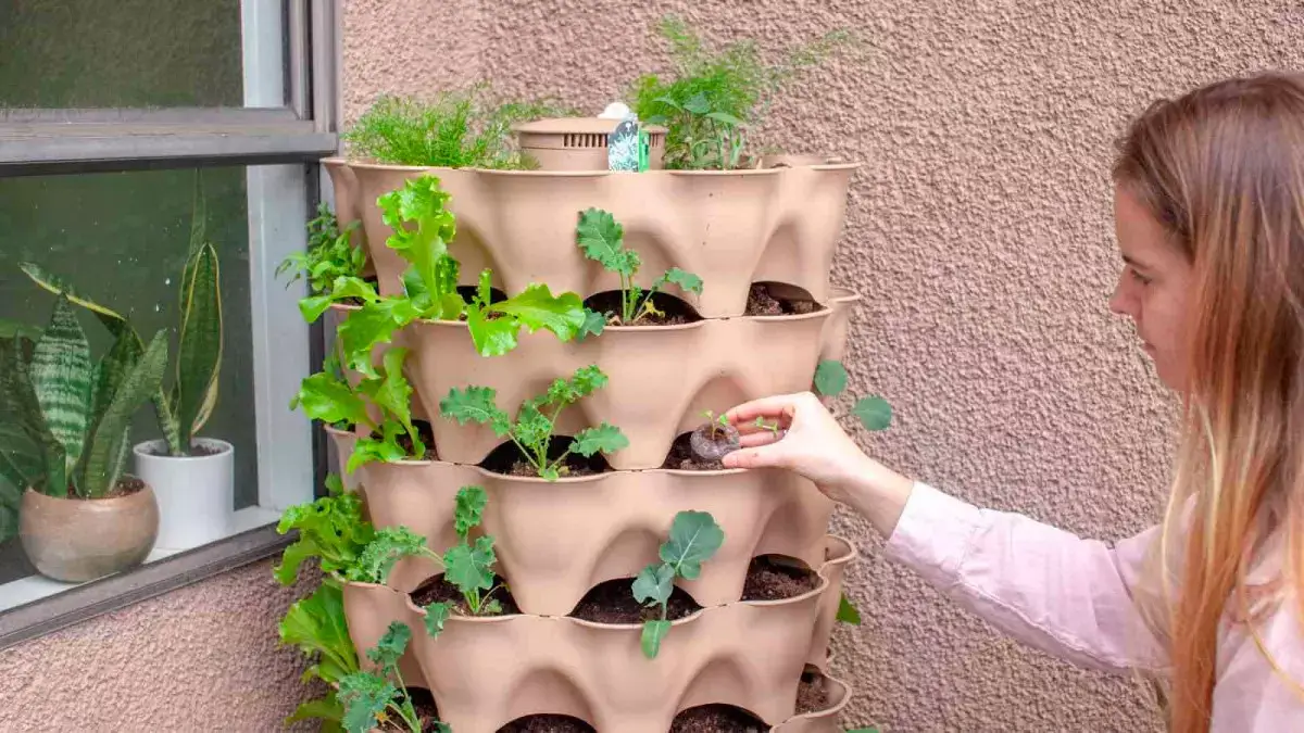 вертикальные посадки